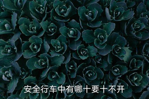 安全行車中有哪十要十不開