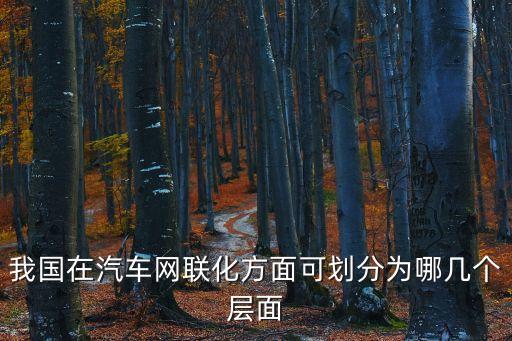 我國在汽車網(wǎng)聯(lián)化方面可劃分為哪幾個層面