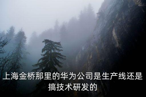 上海金橋那里的華為公司是生產(chǎn)線還是搞技術(shù)研發(fā)的