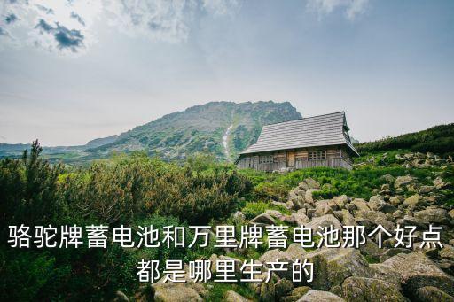 駱駝牌蓄電池和萬里牌蓄電池那個好點都是哪里生產(chǎn)的
