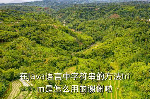 tirm，excel里數(shù)據(jù)中有很空格怎么能用公式批量去掉呢用TIRM和