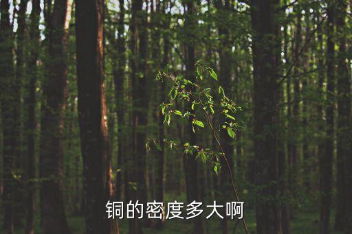銅的密度，銅的密度多大啊