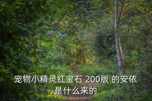 寵物小精靈紅寶石 200版 的安依是什么來的