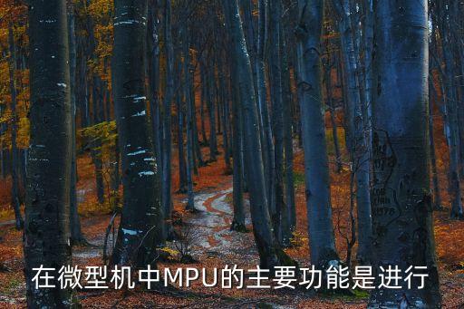 在微型機(jī)中MPU的主要功能是進(jìn)行
