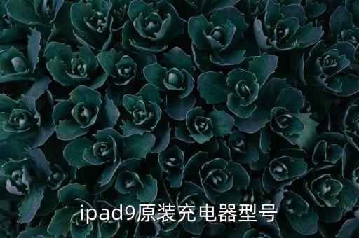 iphone數(shù)據(jù)線 雅達(dá)