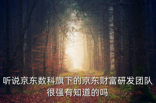 聽說京東數(shù)科旗下的京東財富研發(fā)團隊很強有知道的嗎