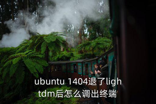 ubuntu 1404退了lightdm后怎么調(diào)出終端
