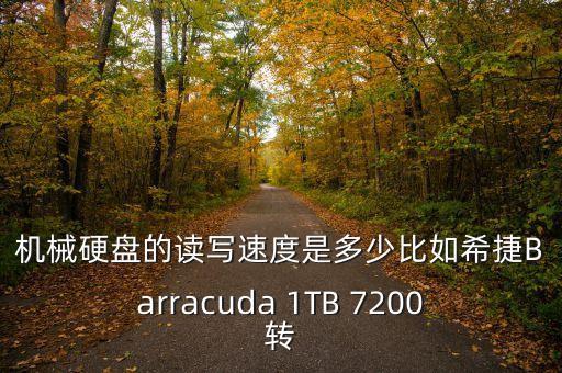 機(jī)械硬盤的讀寫速度是多少比如希捷Barracuda 1TB 7200轉(zhuǎn)