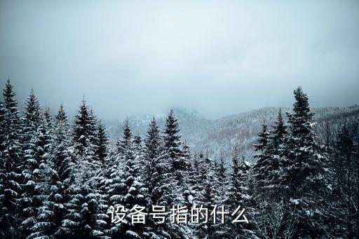 設(shè)備編號，機電設(shè)備包機牌設(shè)備編號指什么