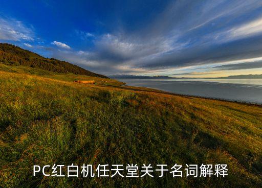 PC紅白機(jī)任天堂關(guān)于名詞解釋