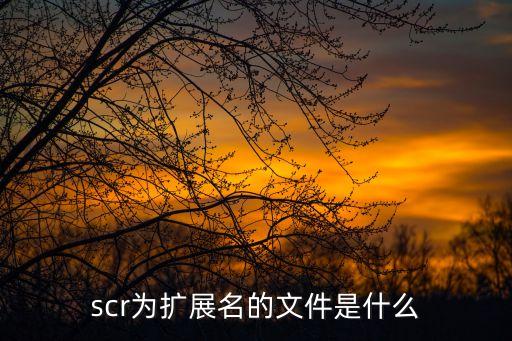 scr為擴(kuò)展名的文件是什么