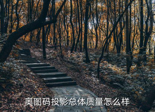 奧圖碼投影總體質(zhì)量怎么樣