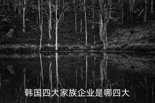 韓國(guó)四大家族企業(yè)是哪四大