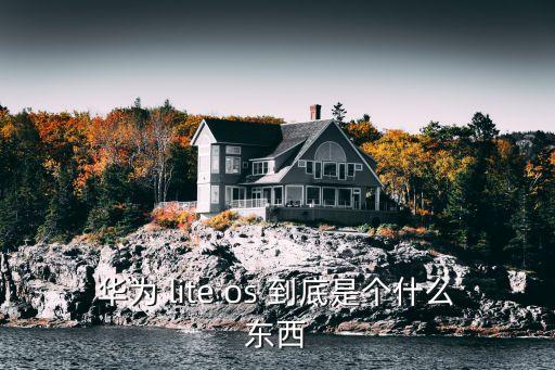 華為 lite os 到底是個什么東西