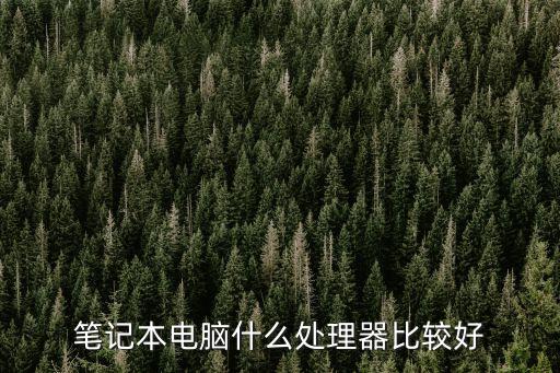 筆記本電腦什么處理器比較好