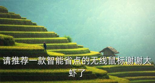 智能鼠標(biāo)，智能鼠標(biāo)優(yōu)缺點(diǎn)是什么