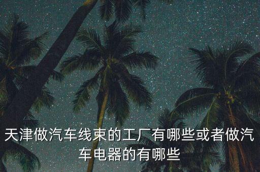 天津做汽車線束的工廠有哪些或者做汽車電器的有哪些