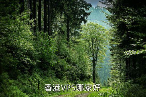 香港vps，香港VPS哪家最好