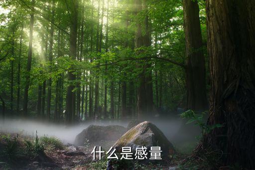 什么是感量