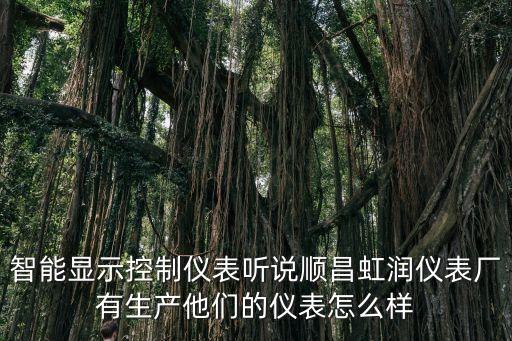 智能顯示控制儀表聽說順昌虹潤儀表廠有生產(chǎn)他們的儀表怎么樣
