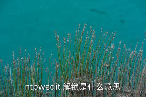 ntpwedit 解鎖是什么意思