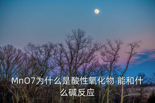 MnO7為什么是酸性氧化物 能和什么堿反應(yīng)