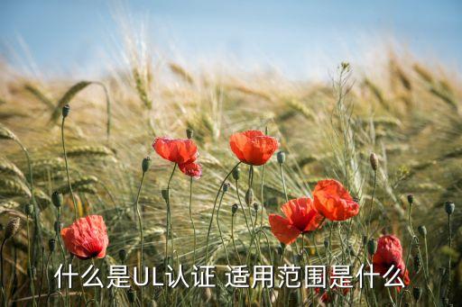 ul認(rèn)證是什么認(rèn)證，什么是UL認(rèn)證 適用范圍是什么