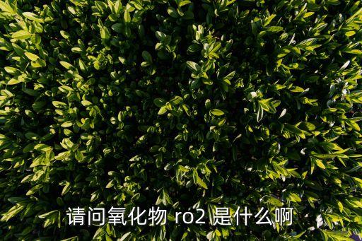 請(qǐng)問氧化物 ro2 是什么啊
