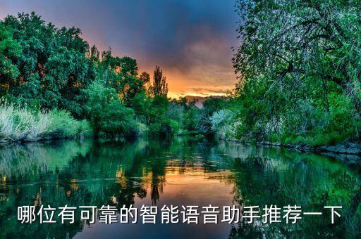 哪位有可靠的智能語音助手推薦一下