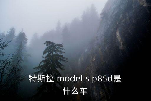 特斯拉德，特斯拉 model s p85d是什么車