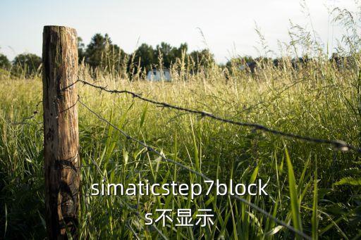 simaticstep7blocks不顯示