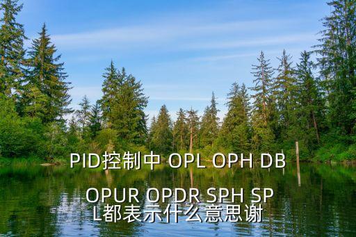 PID控制中 OPL OPH DB OPUR OPDR SPH SPL都表示什么意思謝