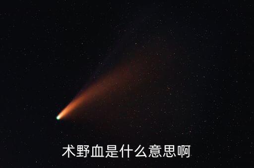 術(shù)野血是什么意思啊