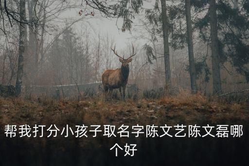 幫我打分小孩子取名字陳文藝陳文磊哪個好
