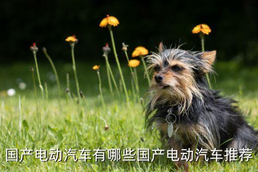 國(guó)產(chǎn)電動(dòng)汽車有哪些國(guó)產(chǎn)電動(dòng)汽車推薦