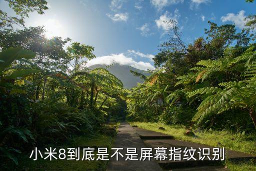 小米8屏幕指紋版，小米8普通版有沒(méi)有屏幕指紋