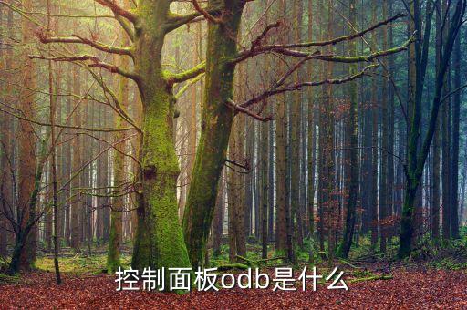控制面板odb是什么