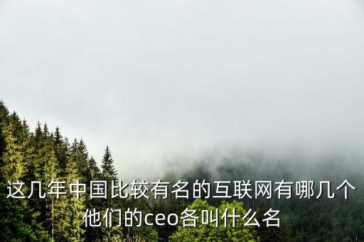 這幾年中國比較有名的互聯(lián)網(wǎng)有哪幾個他們的ceo各叫什么名