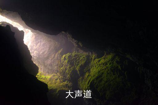 大聲道