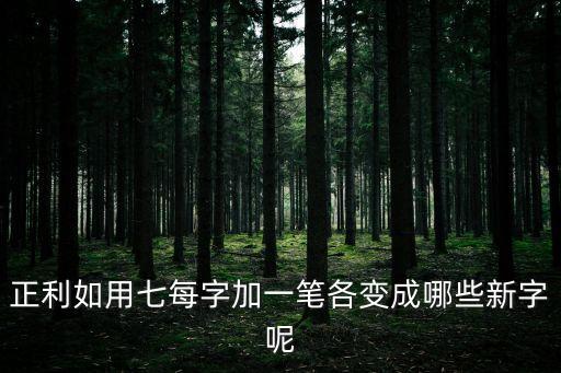 正利如用七每字加一筆各變成哪些新字呢