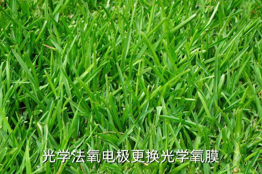光學(xué)法氧電極更換光學(xué)氧膜