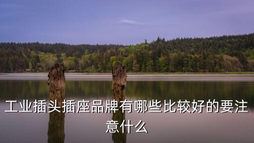 工業(yè)插頭插座品牌有哪些比較好的要注意什么