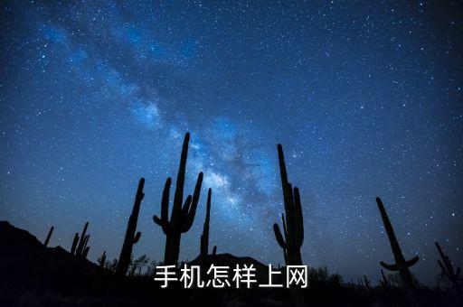 手機(jī)怎樣上網(wǎng)