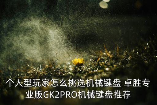 個(gè)人型玩家怎么挑選機(jī)械鍵盤(pán) 卓勝專業(yè)版GK2PRO機(jī)械鍵盤(pán)推薦