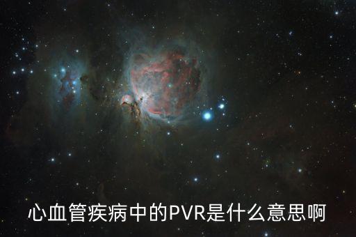 心血管疾病中的PVR是什么意思啊