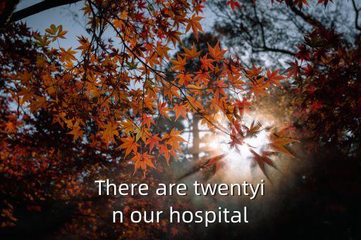 There are twentyin our hospital