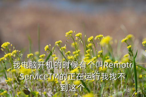 我電腦開(kāi)機(jī)的時(shí)候有個(gè)叫RemotrServiceTM的正在運(yùn)行我找不到這個(gè)