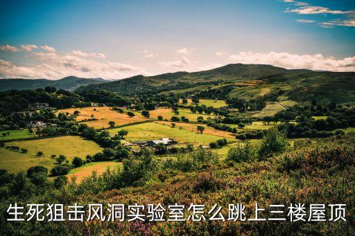 生死狙擊風(fēng)洞實(shí)驗(yàn)室怎么跳上三樓屋頂