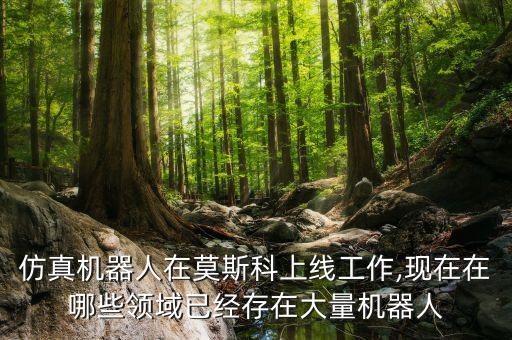 仿真機(jī)器人在莫斯科上線工作,現(xiàn)在在哪些領(lǐng)域已經(jīng)存在大量機(jī)器人