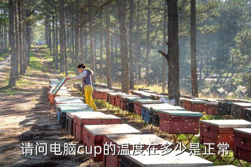 電腦溫度，電腦的cpu 顯卡 主板的最高溫度是多少